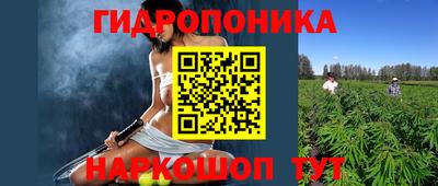 apvp Вязьма